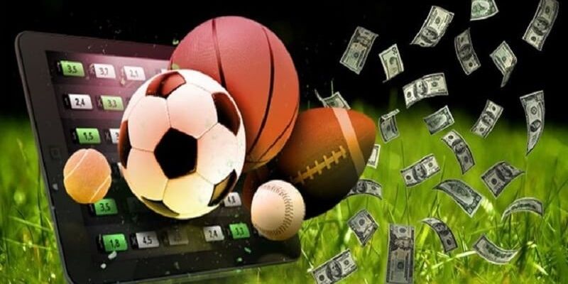 Những tiêu chí giúp bạn nhận diện Cách chọn nhà cái uy tín